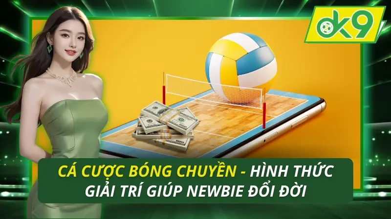 Cá Cược Bóng Chuyền - Hình Thức Giải Trí Hot Nhất OK9 Năm 2026