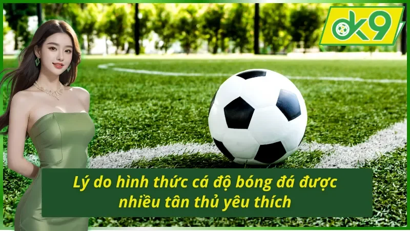Lý do hình thức cá cược bóng đá OK9 siêu hot