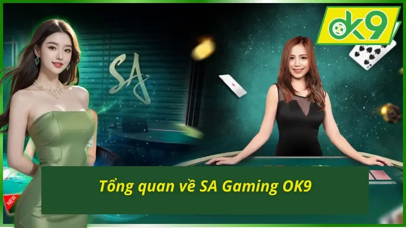 SA Gaming - Điểm Đến Uy Tín Nhất OK9 Hiện Nay Của AE 2 Những thông tin tổng quan về sảnh SA Gaming OK9